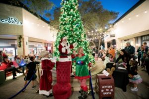 Arboretum Tree Lighting