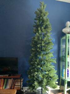 Photo of Undecorated Tree