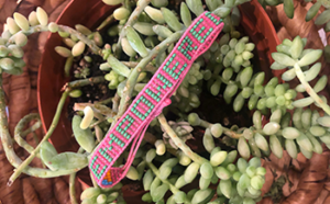 AE Empowered Bracelet example