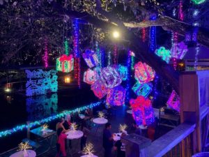 Mozart's Light Show | Holiday Activities in Austin